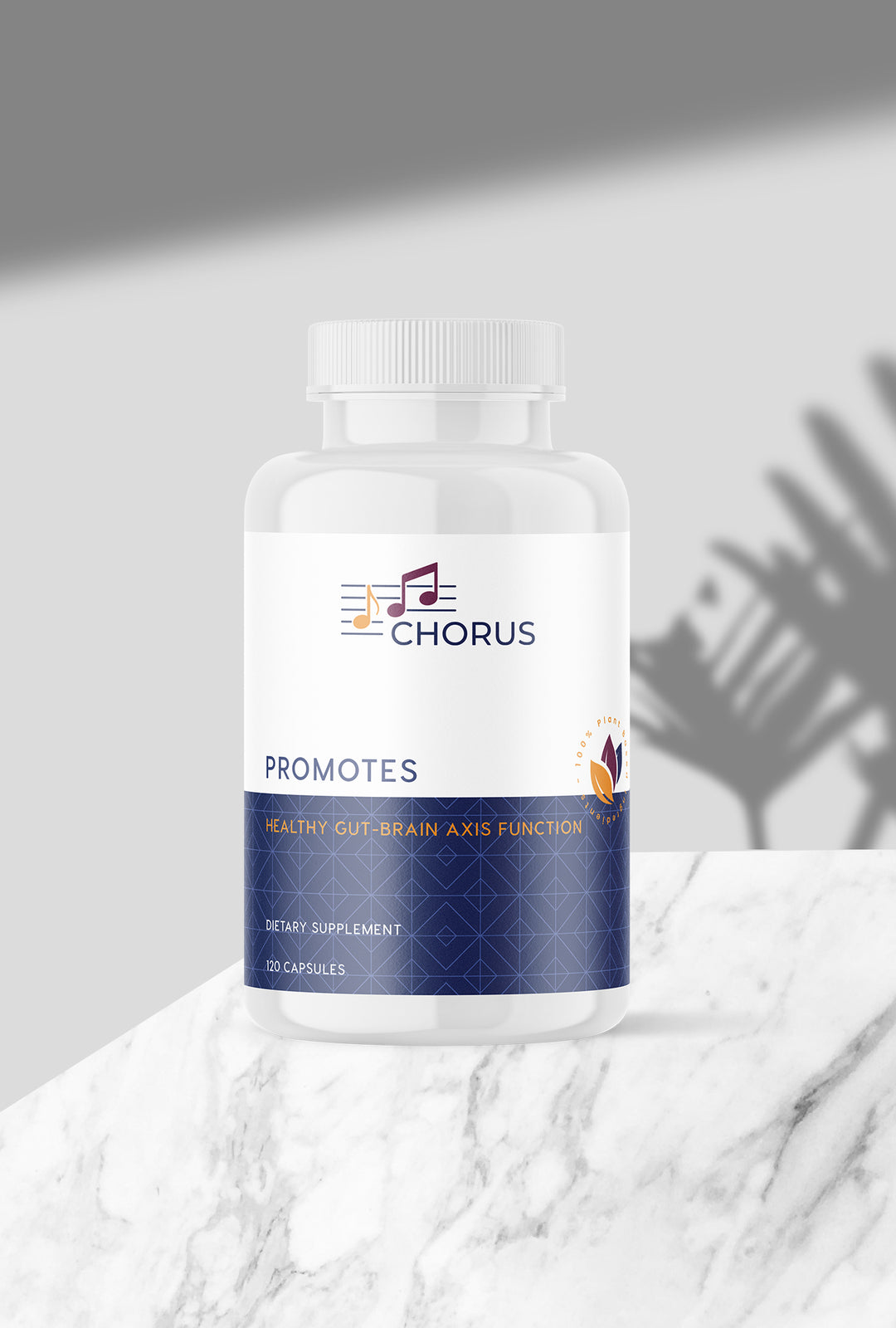 Chorus Gut Harmony (Organic)