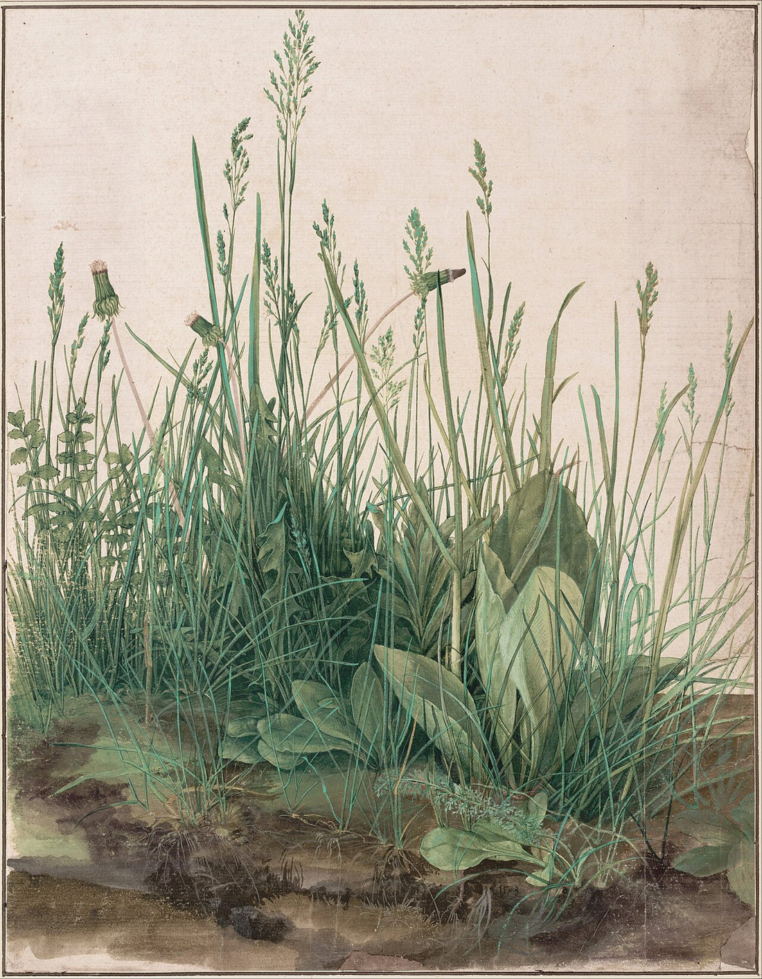Albrecht Dürer, The Large Piece of Turf, 1503