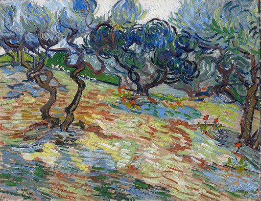 Olive Trees, Vincent van Gogh (1889)