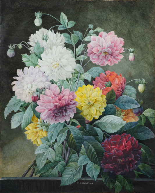 A bouquet of flowers, Pierre-Joseph Redouté (1759-1840)