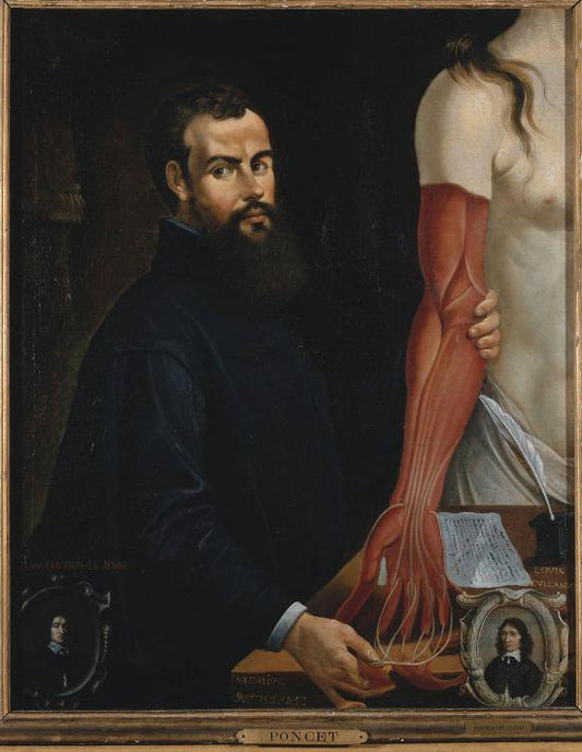 Andreas Vesalius, engraving by Pierre Poncet