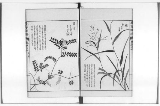 Honzo Zufu (Iwasaki Tsunemasa, 1828), pages 15-16