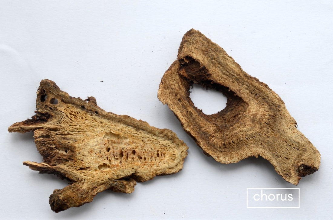 The problem with Malondialdehyde (MDA) and how Chorus can help