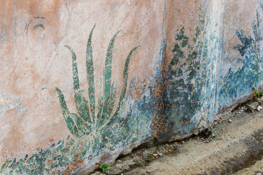 Painted plants fresco, Pompeii