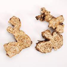 Atractylodes Macrocephala: An Ancient Herb with New Discoveries