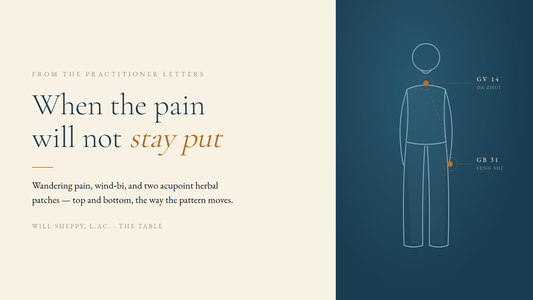 Chinese Herbal Pain Patches for Pain That Moves