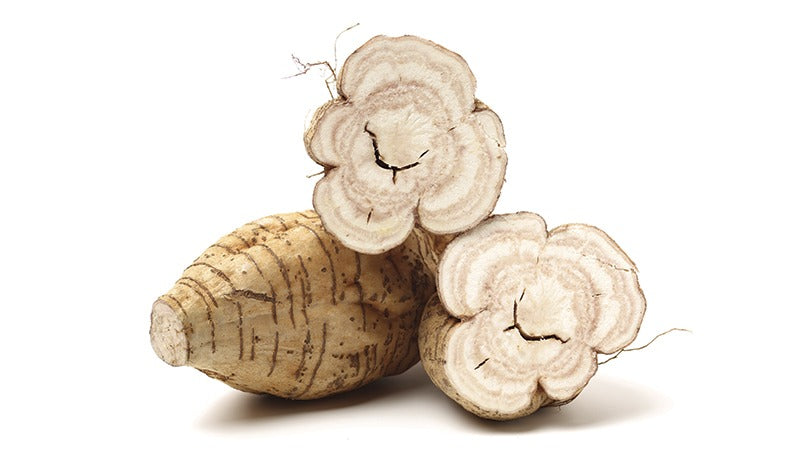 Kudzu Root: The Tummy Tamer