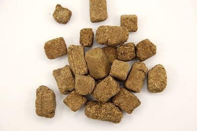 A Gentle Herbal Helper: The Impact of Massa Medicata Fermentata on Gut Health