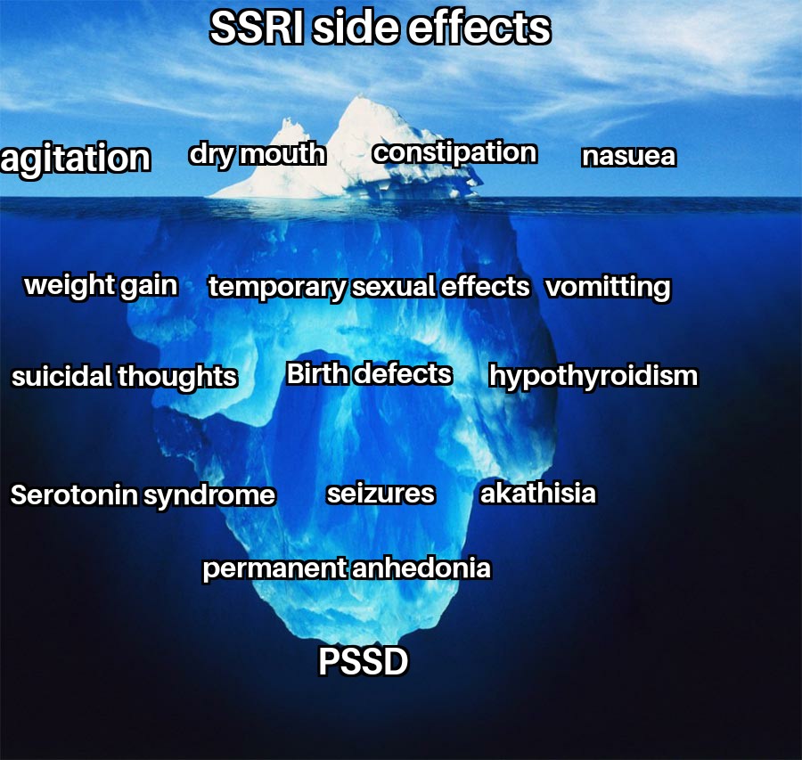 Exploring the Gut-Brain Connection: Managing SSRI Digestive Side Effects with Chinese Herbs