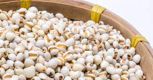 Discover the Goodness of Coix Seeds