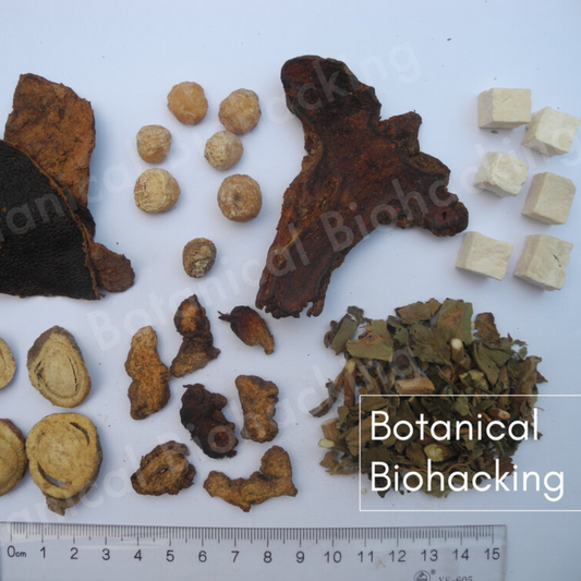 Warm Hearth -Gluten Free-0