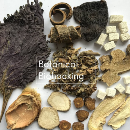 Atone Herbal Tea - Gluten Free