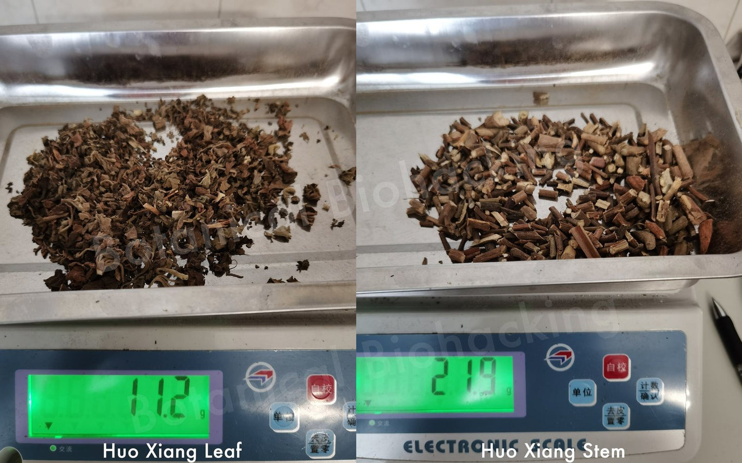 Atone Herbal Tea - Gluten Free