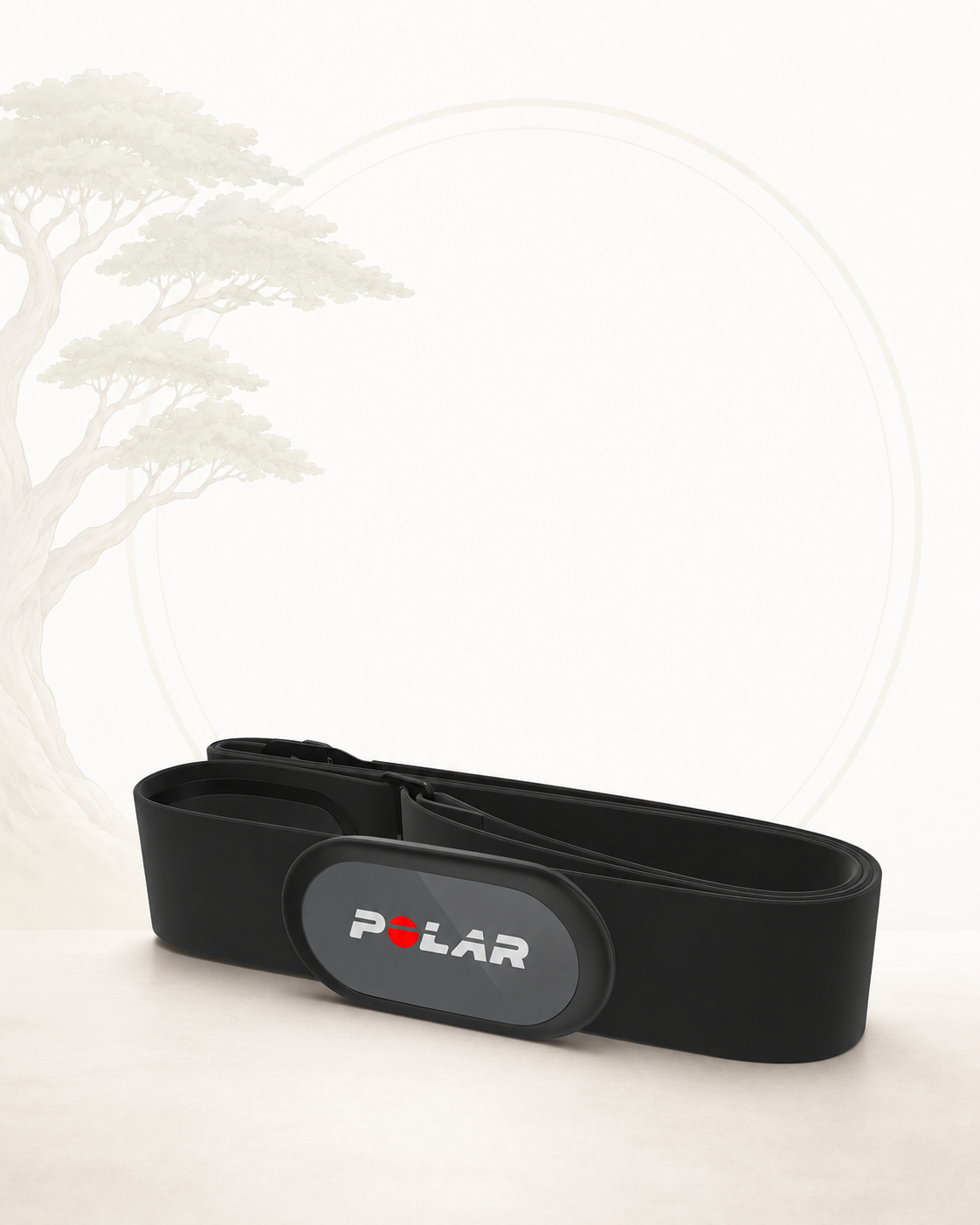 Polar H9 Heart Rate Monitor