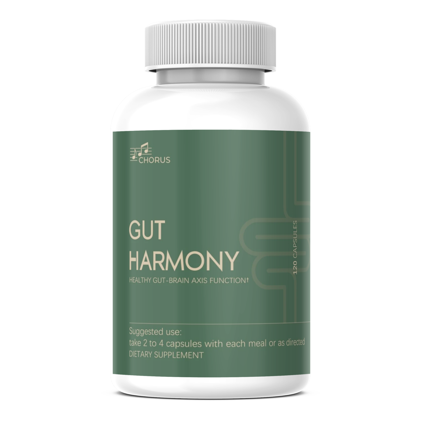 Chorus Gut Harmony (Organic)
