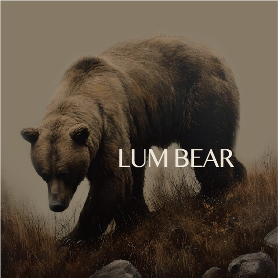 Stem and Leaf - LumBear